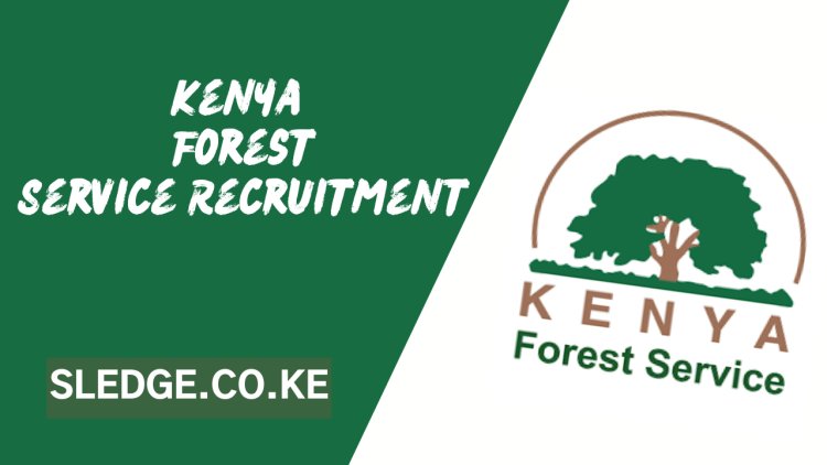 Kenya Forest Service 2024/2025 Recruitment: Eligibility, Application Forms, Positions & Preparation Tips