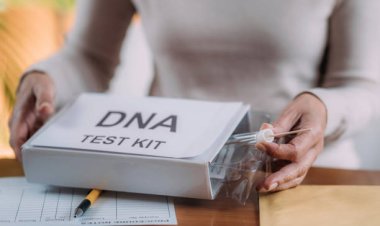Home DNA Test Kits:  Here is everything that you need to know