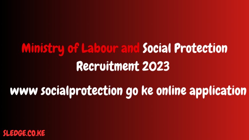 Ministry of Labour and Social Protection Recruitment 2023 Portal @ www socialprotection go ke online application