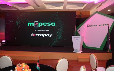 M-PESA Terrapay: How To Use, Register, Requirements, Transaction Charges And Key Features