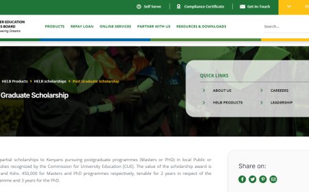 HELB Post Graduate Scholarship 2024: Requirements, Application Process, Courses, and Fees