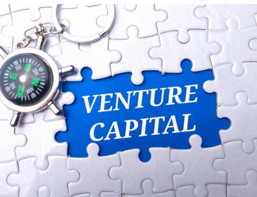 Venture Capital Meaning: Everything to know & how they Drive Startup Success
