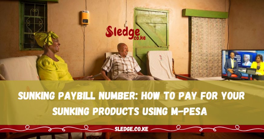 Sunking Paybill Number: How to Pay For Your SUNKING Products Using M-Pesa