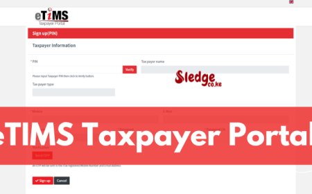 eTIMS Taxpayer Portal 2024 - Registration, Requirements, How To Use, File Returns Contacts And More