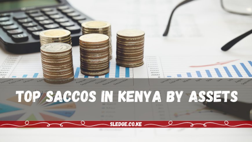 Top Saccos in Kenya by Assets and Customer Deposits 2023