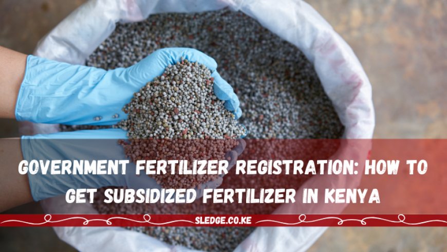 Government Fertilizer Registration: How to Get Subsidized Fertilizer in Kenya