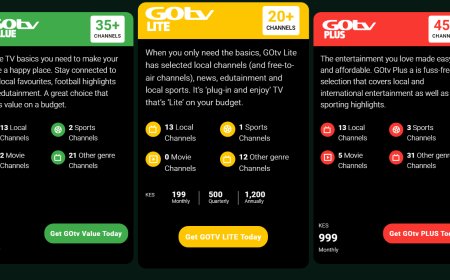 GOTv Lite Package 2024: Prices, Channels, and How to Pay for It in Kenya