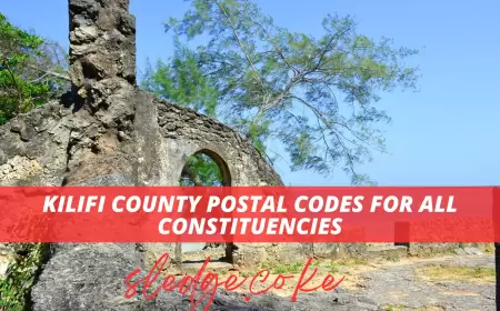 Full List of All Kilifi County postal codes For All  Constituencies In 2024